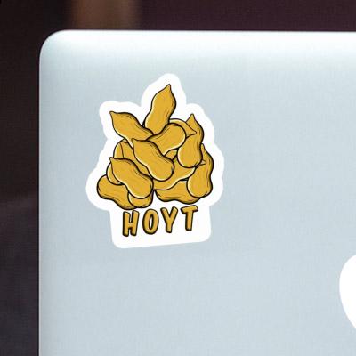 Hoyt Sticker Nuss Notebook Image