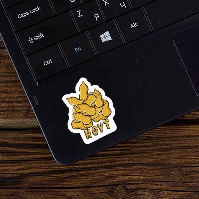 Hoyt Sticker Nuss Laptop Image