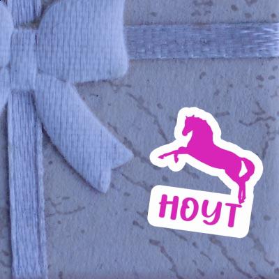 Sticker Hoyt Horse Gift package Image