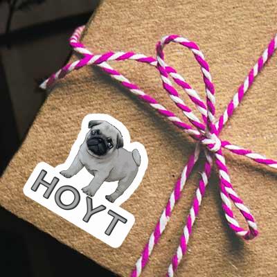 Autocollant Hoyt Carlin Gift package Image