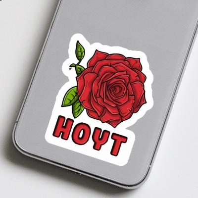 Autocollant Hoyt Fleur de rose Image