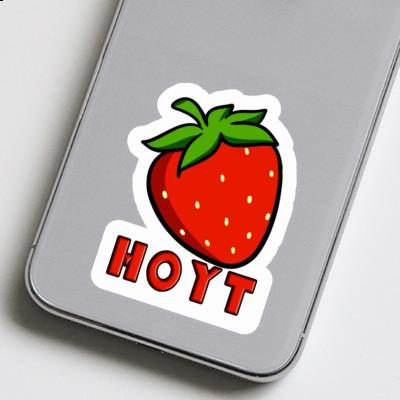 Hoyt Sticker Erdbeere Gift package Image