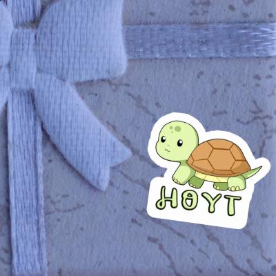 Aufkleber Hoyt Schildkröte Notebook Image