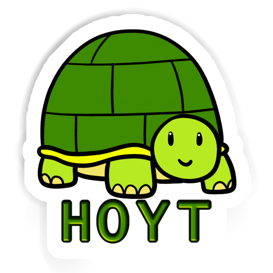 Aufkleber Schildkröte Hoyt Notebook Image