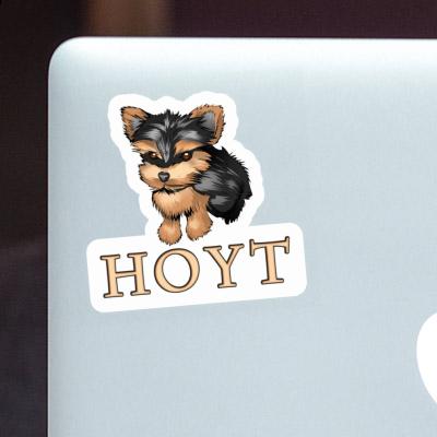 Sticker Hoyt Yorkshire Terrier Laptop Image