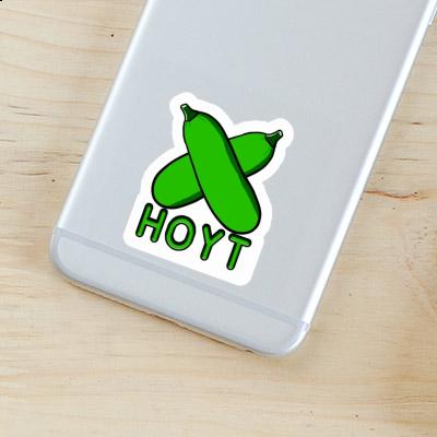 Sticker Zucchini Hoyt Laptop Image