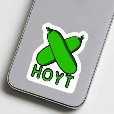 Sticker Zucchini Hoyt Gift package Image