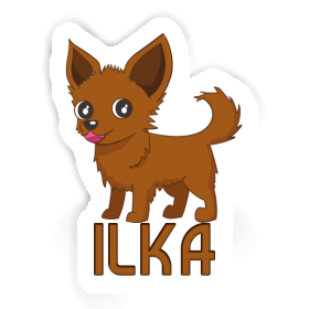 Sticker Ilka Chihuahua Image