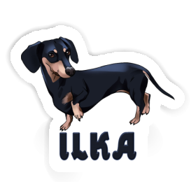 Sticker Dachshund Ilka Image