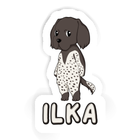 Munsterlander Sticker Ilka Image