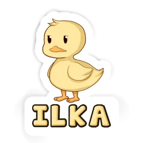 Canard Autocollant Ilka Image
