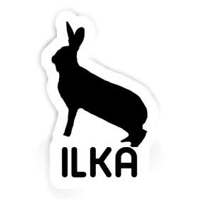 Rabbit Sticker Ilka Image