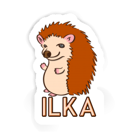 Hedgehog Sticker Ilka Image