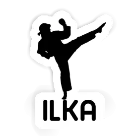 Karateka Sticker Ilka Image