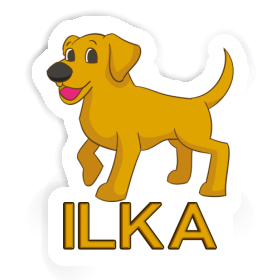 Sticker Dog Ilka Image
