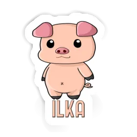 Piggy Sticker Ilka Image