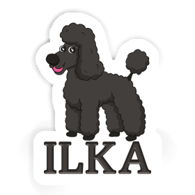 Sticker Ilka Poodle Image