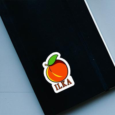 Sticker Apricot Ilka Notebook Sticker Apricot Ilka Notebook Image