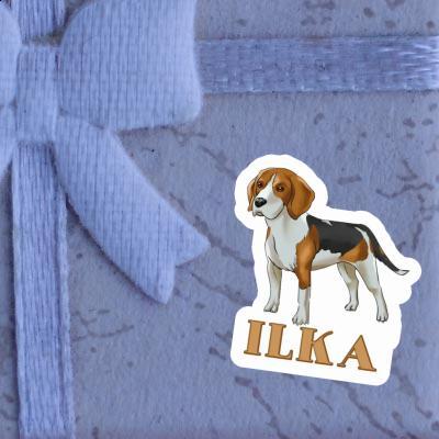 Autocollant Ilka Beagle Laptop Autocollant Ilka Beagle Laptop Image