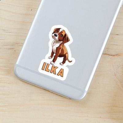 Boxer Dog Sticker Ilka Boxer Dog Sticker Ilka Image