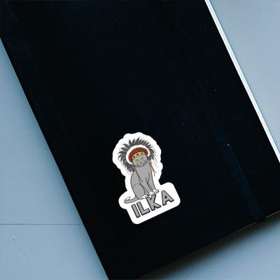 Sticker Cat Ilka Notebook Sticker Cat Ilka Gift package Image