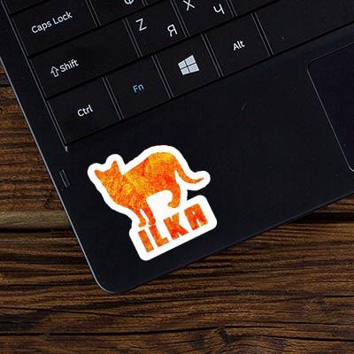 Chat Autocollant Ilka Laptop Chat Autocollant Ilka Laptop Image