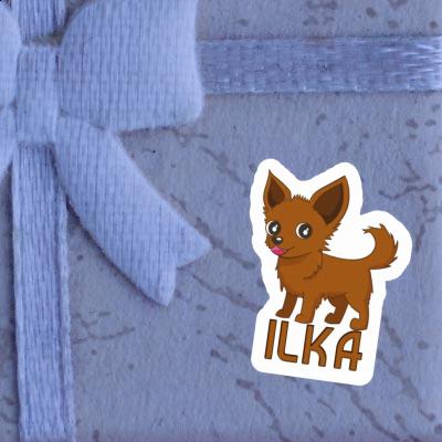 Sticker Ilka Chihuahua Laptop Sticker Ilka Chihuahua Laptop Image