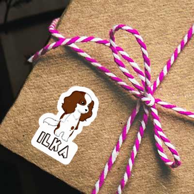 Autocollant Cavalier King Charles Spaniel Ilka Notebook Autocollant Cavalier King Charles Spaniel Ilka Gift package Image