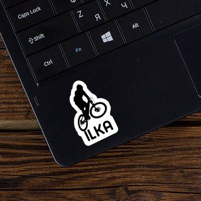 Downhiller Sticker Ilka Gift package Image