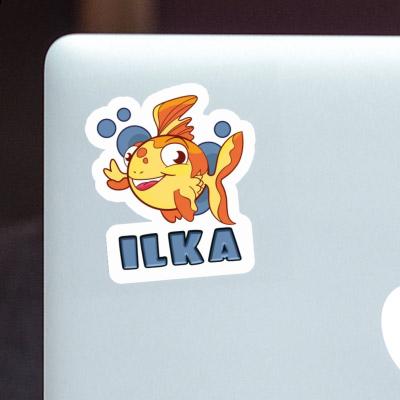 Poisson Autocollant Ilka Notebook Poisson Autocollant Ilka Gift package Image