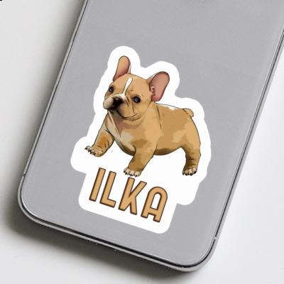 Autocollant Bouledogue Ilka Autocollant Bouledogue Ilka Image