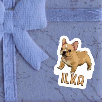 Bulldogge Sticker Ilka Laptop Bulldogge Sticker Ilka Laptop Image
