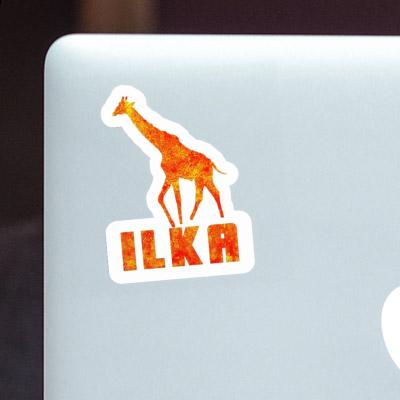 Sticker Giraffe Ilka Notebook Sticker Giraffe Ilka Gift package Image