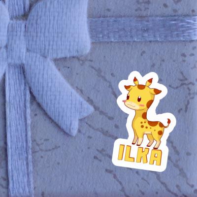 Girafe Autocollant Ilka Notebook Girafe Autocollant Ilka Gift package Image