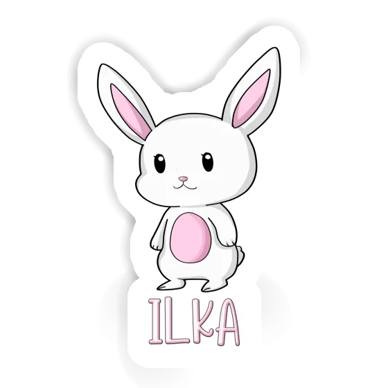 Ilka Sticker Rabbit Gift package Image