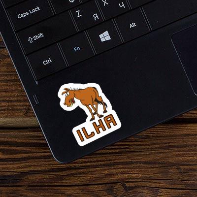 Cheval Autocollant Ilka Gift package Image
