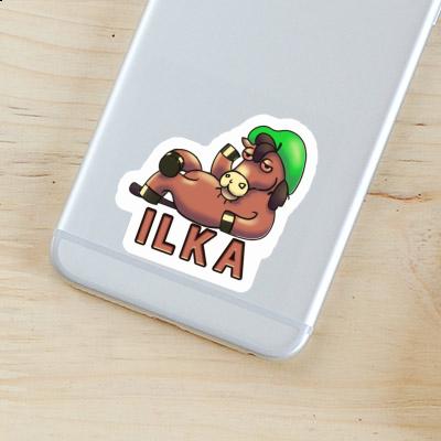 Autocollant Ilka Cheval Laptop Image