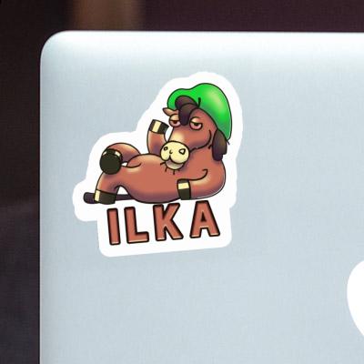 Autocollant Ilka Cheval Notebook Image