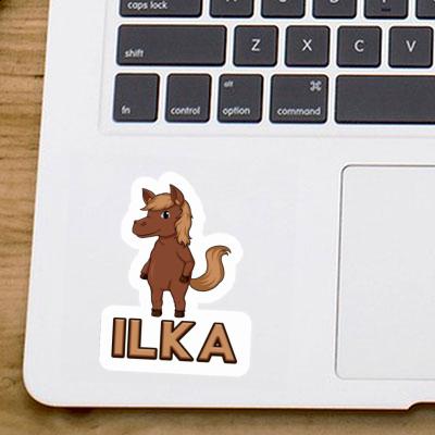Autocollant Ilka Cheval Notebook Autocollant Ilka Cheval Gift package Image