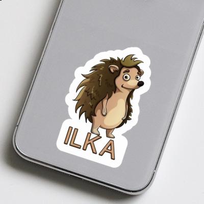 Sticker Ilka Hedgehog Gift package Image