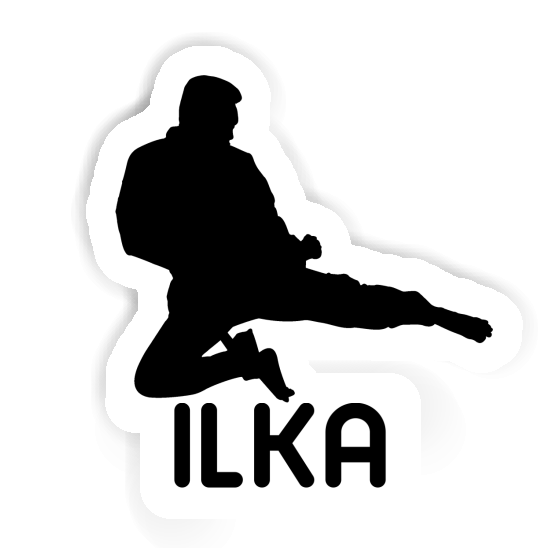 Aufkleber Karateka Ilka Aufkleber Karateka Ilka Image