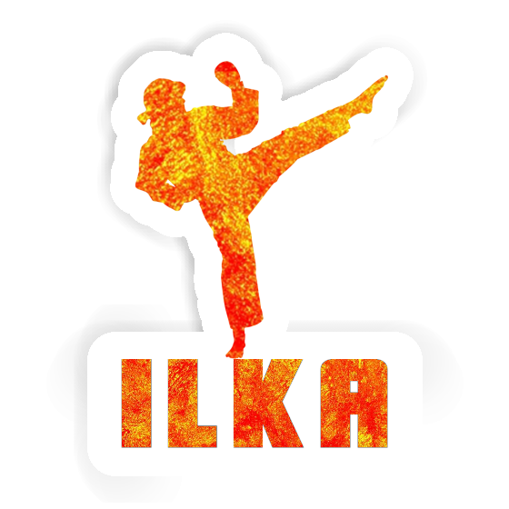 Sticker Ilka Karateka Notebook Sticker Ilka Karateka Notebook Image