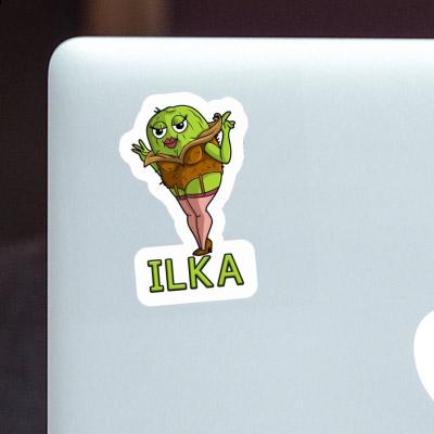 Sticker Ilka Kiwi Notebook Sticker Ilka Kiwi Gift package Image