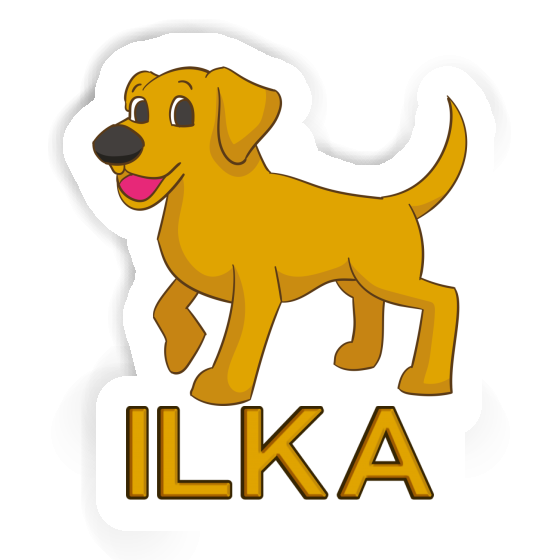 Sticker Dog Ilka Notebook Sticker Dog Ilka Notebook Image