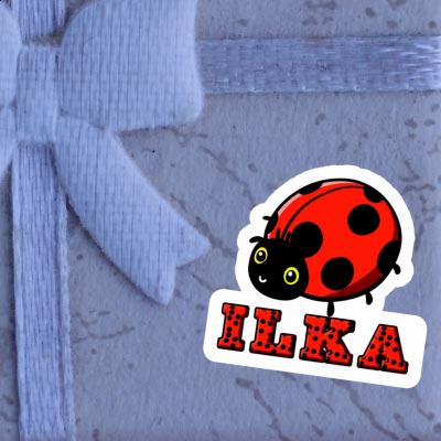 Autocollant Ilka Coccinelle Notebook Autocollant Ilka Coccinelle Gift package Image