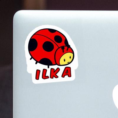 Marienkäfer Sticker Ilka Notebook Marienkäfer Sticker Ilka Notebook Image