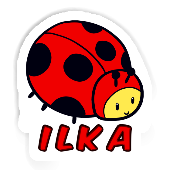 Coccinelle Autocollant Ilka Notebook Coccinelle Autocollant Ilka Gift package Image