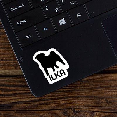 Sticker Pug Ilka Sticker Pug Ilka Image