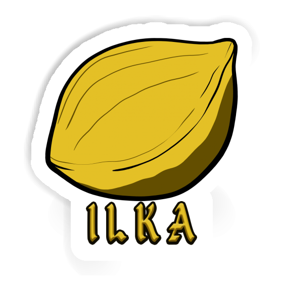 Sticker Nut Ilka Notebook Sticker Nut Ilka Gift package Image