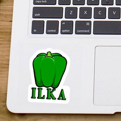 Paprika Sticker Ilka Notebook Image